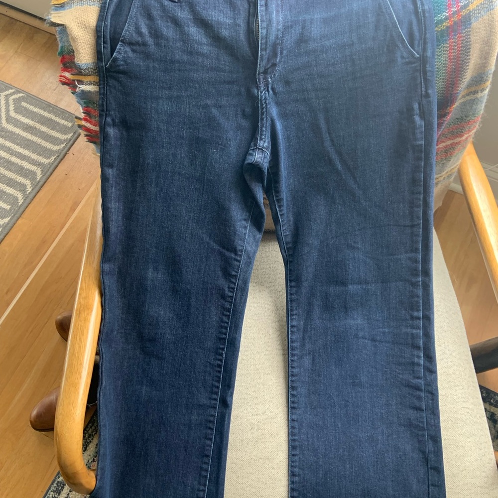 Banana Republic Deep Blue Trousers